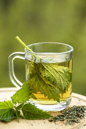 Stinging Nettle for improved prostate health