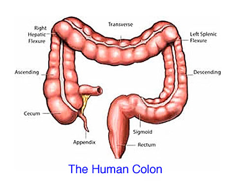 does colon cleansing work?